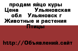 продам яйцо куры › Цена ­ 80 - Ульяновская обл., Ульяновск г. Животные и растения » Птицы   